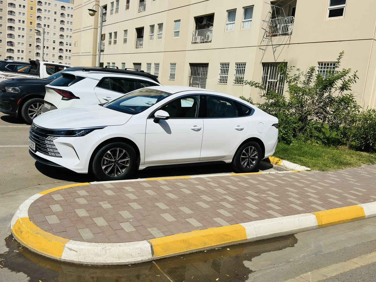 دستروير٢٥ ماشيه ٢٠٠٠…تحويل مباشر ..مكانها بغداد بسمايه…السعر..١٢٥ ورقه.بسم ولد صديقي شرط التحويل…***********…
