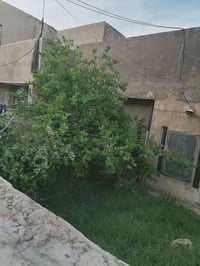 بيت للبيع مساحه 100 متر نزال 20 متر   واجهيه 5  متر بالشرطه الخامسه قر...