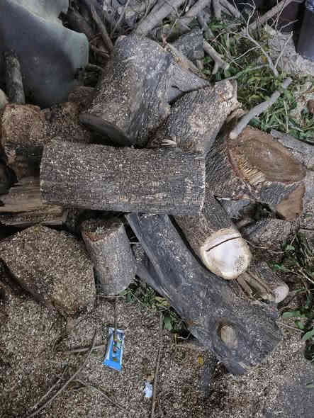 السلام عليكم
يوجد حطب للبيع ***********
***********
