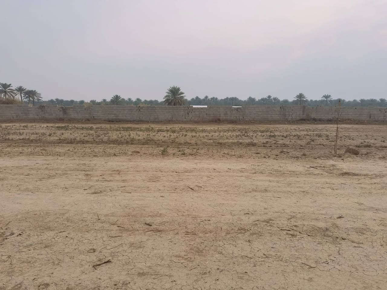 قطع اراضي للبيع 
الراشدية كاظم العلي 
 9 قطع متبقي
مساحة كل قطعة 500 م 
واجهه 20 م 
نزال 21 م
كهرباء ماء تبليط 
قطع معزولة 
*********** هـ
