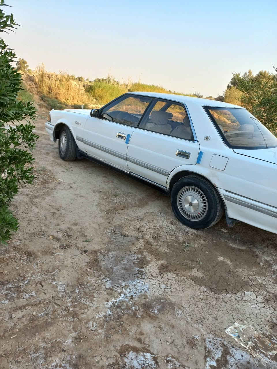 هارتوب للبيع/1991 رقم سياره نجف سنويه ل20026 ////***********
