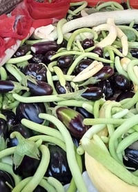 بيتنجان شوكي • خيار ترعوزي • شهربان حي مهدي