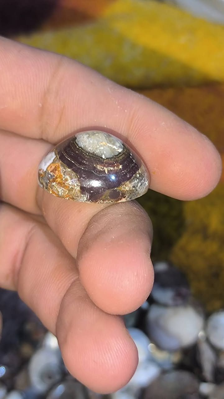 داودي يماني ملكي قطع تحف من نوادر 
اسعار مناسبة لجميع 
تعالو خاص وبخدمتكم


**إذا كنت صاحب هذا الإعلان وتريد حذفه لأي سبب، رجاءا أرسل رسالة إلى الدعم الفني**