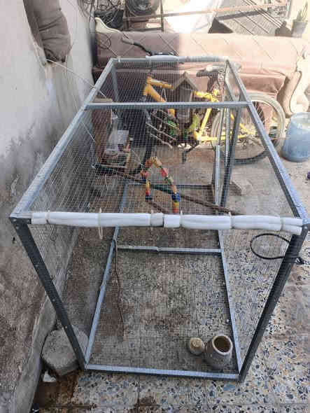 مستعجل كلش القفص ول ادوات من غير طيور  ب 70 قفلهن مكاني شارع المطار القديم
***********
