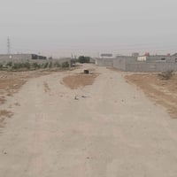 خور الزبير • دونم زراعي • عقد زراعي مجدد