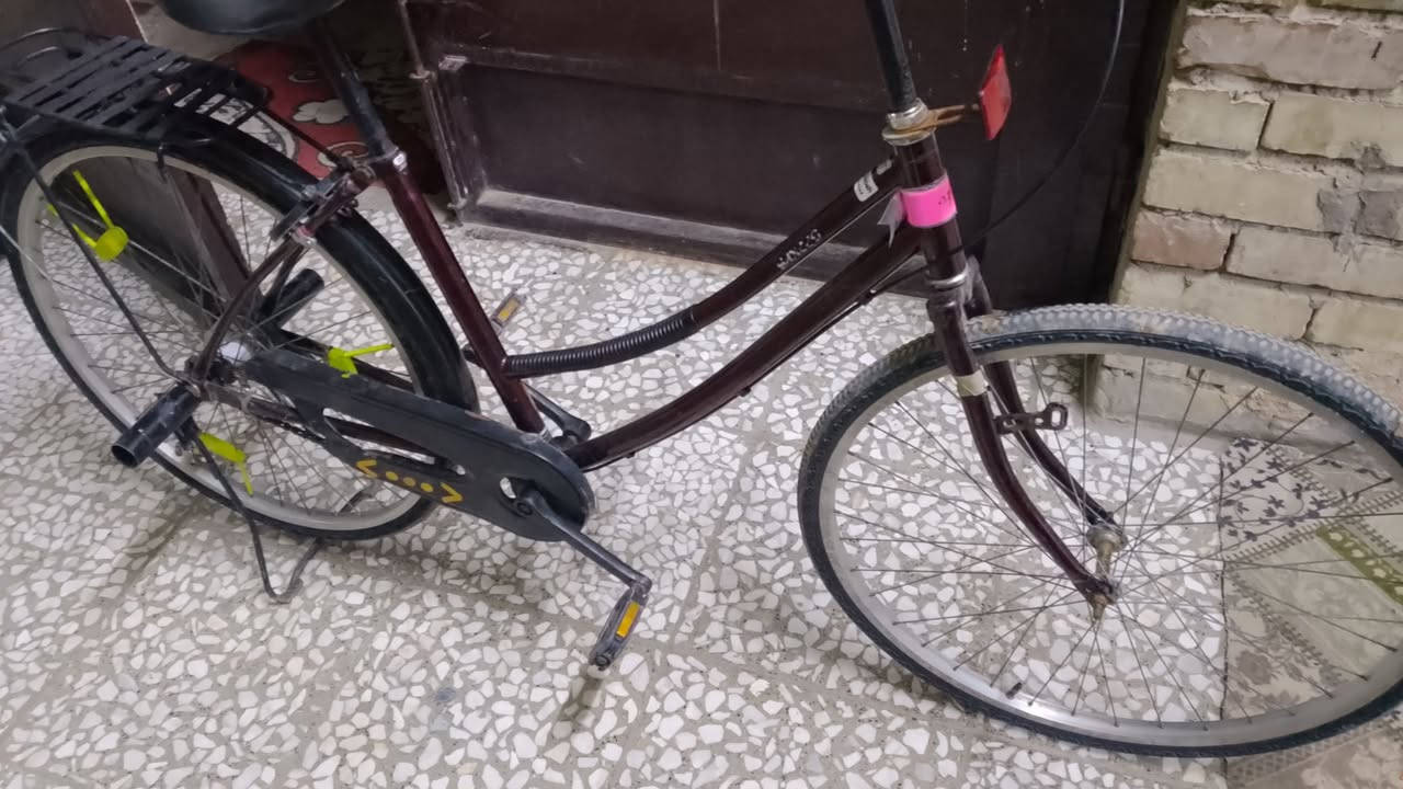 السلام عليكم شباب باسكل بناتي مديل سته وعشرون ***********
