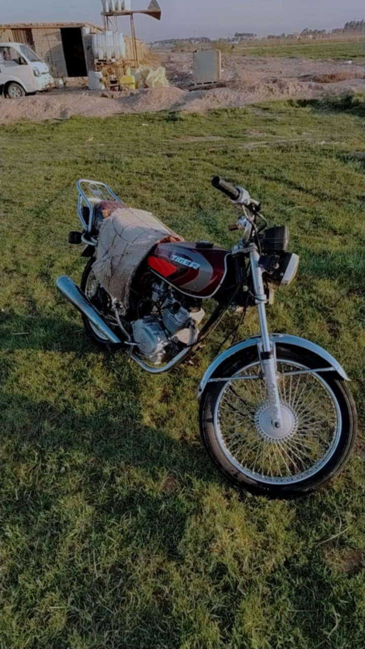 سلام عليكم
دراجة تايگر للبيع موديل 21
دراجة نضيفة يرادلهة ترتيبات بسيطة 
المكان ديالى ناحية كنعان 
*********** للستفسار اكثر الاتصال على الرقم
