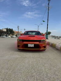 ٢٠١٩ • بدون صبغ • رقم بصره