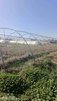 بيت زجاجي للبيع سعره جدآ مناسب؟  ألاستفسار ‏‪07804329026‬‏