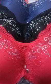 ستيان حريم السلطان • اسعار مناسبة • زين القوس شارع شيرازي