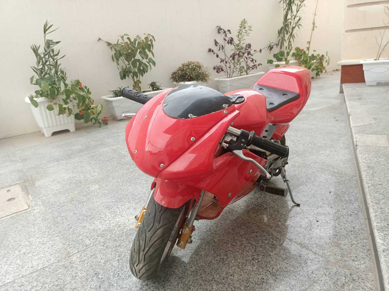 السلام عليكم جمعة مباركة على الجميع إن شاء الله من رخصة الآدمن..
دراجة بانزين مالت أطفال استخدام ساعات فقط حتى البالغ يگدر يسوقها محركها قوي جدا السعر 200 ألف مكاني نجف حي العدالة 
‏‪0785 438 4044‬‏
