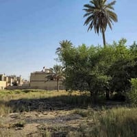 دونم تجاري • واجهة ٣٣م • كربلاء شارع ابو طالب