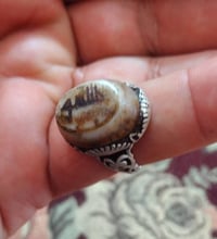 بقري قديم • مكاني • ديوانية