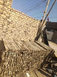 بقار • طول متر • الحلة