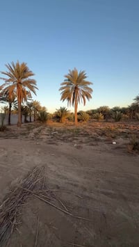 يعلن مكتب الوارث للعقار عن بيع 4 دوانم👍👍 تنباع دونم او دونمين او كلهه ...