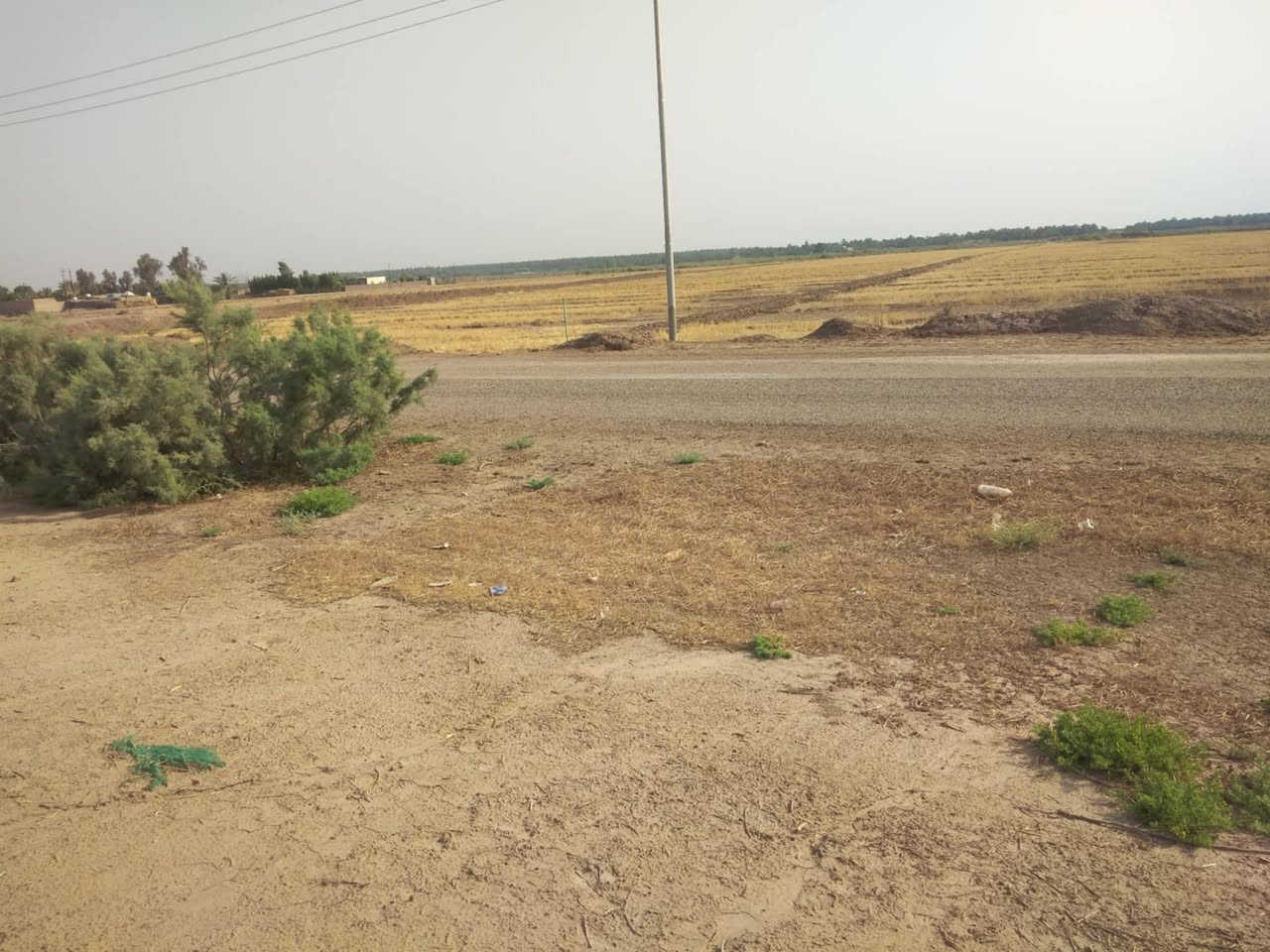 السلام عليكم ٦٥ دونم طابو سند زراعي سند ٢٥ وجه شارع  كهرباء بصدرها حصه مائيه الارض متروكه تبعد عن مركز المدينه ١٥ كيلو طريق الصويره الزبيديه سعر الدونم ٥ وبيها مجال *********** المكان الصويره
