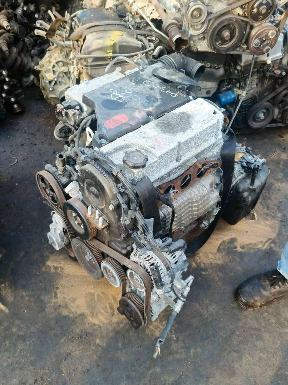 السلام عليكم شباب
متوفر حالياً عرظ 
على جميع بيبان وبنايد الموجوده بلمنشور
بغداد الطالبيه فلكه 83 مقابل مستشفى ابن البلدي *********** علي
