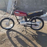 تايجر • نامه • ٢٠٢٣