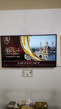 بلازما ٦٥ • تلفزيون