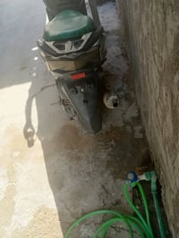 هندر • شغاله • نقص جوزه