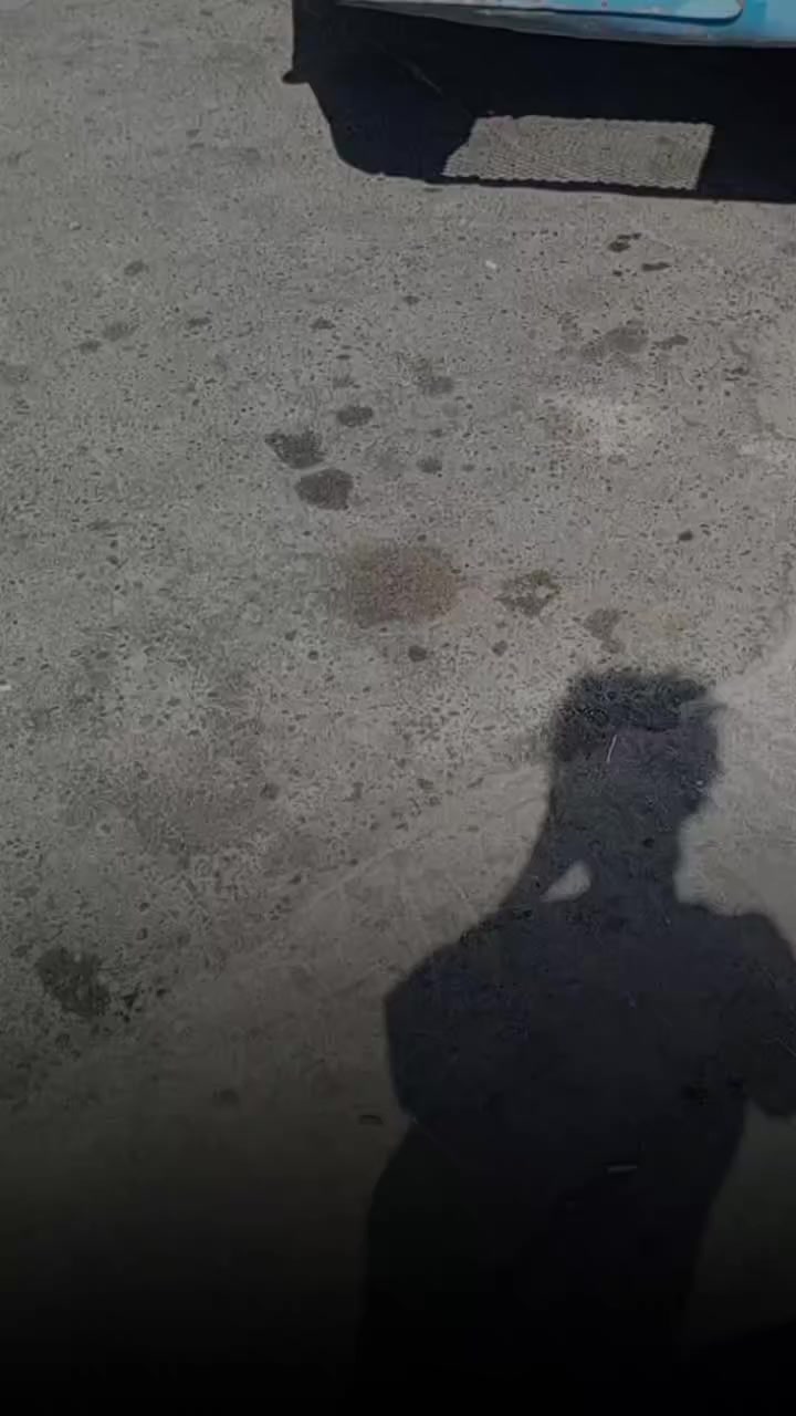 سلام عليكم كوستر للبيع بيها ماكينه بطه ثلاثه ونص في في تي رايتها للبيع ما يخابرني سياره جاهزه اكسي نتايه تخم تايه جاهزه من كل شيء يريد يستفسر يستفسر عن الرقم***********
