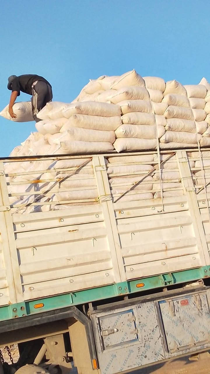 بسم الله الرحمن الرحيم

السلام عليكم أخوان مربي الدواجن توجد نشارة بيضاء بأسعار مناسبة اقل طلب ٥٠ كيسا الية للاتصال على الرقم التالي ***********

ملاحضة أطلب النشارة قبل موعد  الحاجة إليها بأيام بسبب تراكم الحجوزات
