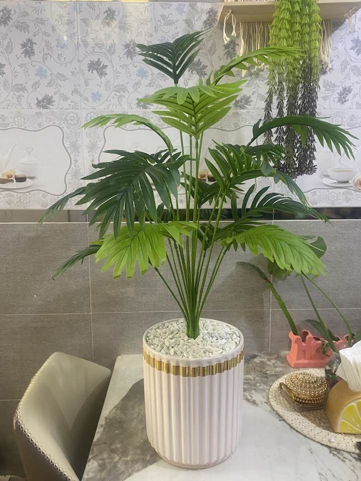 شجره السايكس يتوفر خدمه توصيل 🚚


**إذا كنت صاحب هذا الإعلان وتريد حذفه لأي سبب، رجاءا أرسل رسالة إلى الدعم الفني**