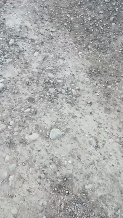 بسم الله الرحمن الرحيم
السلام عليكم ورحمة الله وبركاته
يعلن مكتب علي الصميدعي للاستثمار العقاري
عن توفر قطعة ارض للبيع المساحة ٢٤٥ متر العرض ٧ متر الطول ٣٥ متر الموقع حي الوحدة فرع الحشد نهاية التبليط
ارض عدلة كما موضحة بالفيديو تحتوي على خدمات الماء والكهرباء ٠٠٠٠ السعر المطلوب ٤٠ مليون قابل للتفاوض ٠٠٠ للاستفسار عن باقي التفاصيل الاتصال على الارقام التالية او مراسلة الصفحة :
📞 *********** متوفر واتس اب
📞 *********** متوفر واتس اب
او زيارة مكتب علي الصميدعي للعقار الكائن في ديالى ٠ جلولاء ٠ حي الشهداء ٠ مقابل اتحاد شباب جلولاء ٠ ودائرة التقاعد ٠
