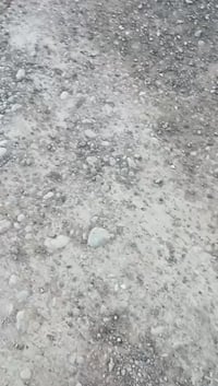 ٢٤٥م • حي الوحدة فرع الحشد • أرض عدلة