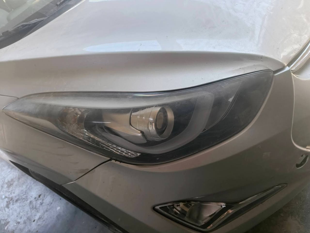 السلام عليكم مازدات النتره مضلع تفصيخ اصليات  امهات الد شغالات 100بل 100 للبيع العنوان بغداد بسمايه السعر 250   ( ***********
