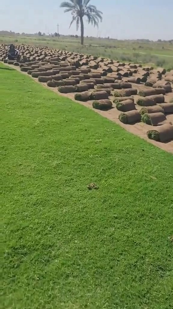 باسعار ثيل ديالى الطبيعي 🏡
السلام عليكم اسرعو في الحجز السعار مناسبة  ***********

أهلاً بكم في مجموعه مزارع ابو عباس الثيل  الهندي الطبيعي مزارع ديالئ 🌿🌱

 نقدم لكم افضل انوع الثيل الطبيعي عالي الجوده يتحمل كافه الضروف البيئية.🌦️🌞

دائم الخضرة🌿🌳 وباسعار تنافسيه ☘️❤️

#مستعدون لتجهيز وفرش الحدائق🏡 ودوائر الدولة🏡والمنازل🏡🏡

و تجهيز الملاعب🏟️ والمنتزهات الجودة العالية في العمل👷👷

مع خدمة التوصيل خلال24ساعه🚛🚛

الاسعار 💵💸 تختلف حسب الكمية 

للاستفسار الاتصال على : الرقم 

او التواصل مع الصفحه  او ارسال رسالة على الوتساب ‏‪ 

التصال والستفسار *********** او ***********
