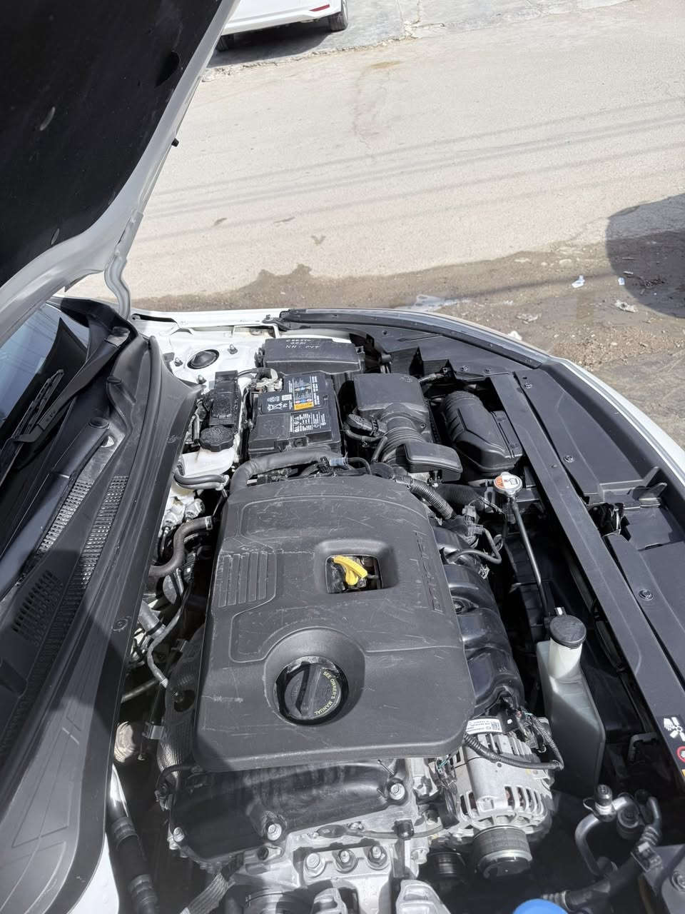 السلام عليكم
☘️ فورتي موديل 2024 رقم الشاصي بل منشور

☘️السيارة فول مواصفات رادارات 4 تشغيل عن بعد بصمة وفتحة gt لاين مكينة 2000cc دوش 

☘️ حادثها تبديل جاملغ وبنيد فقط صبغ وبيها بارد بل باب الخلفي  

☘️ السيارة جديدة ب معنى الكلمة بدون اي نقص تبريد كلة شغال ماشية 9 الف مشي امريكا 6 الف تايرات جدد بدون شخوط او رصعات بيها رصعة صغيرة بل قمارة اثر تحميل

☘️السيارة ب اسمي  رقم بغداد تحويل مباشر مكاتبة مروري مكاني المعلمين قرب الامين الثانية شرط ابيعلك عل سونار عدة الجاملغ ولبنيد صبغ ترجع

☘️هاتف ***********

☘️السعر 155 💵
