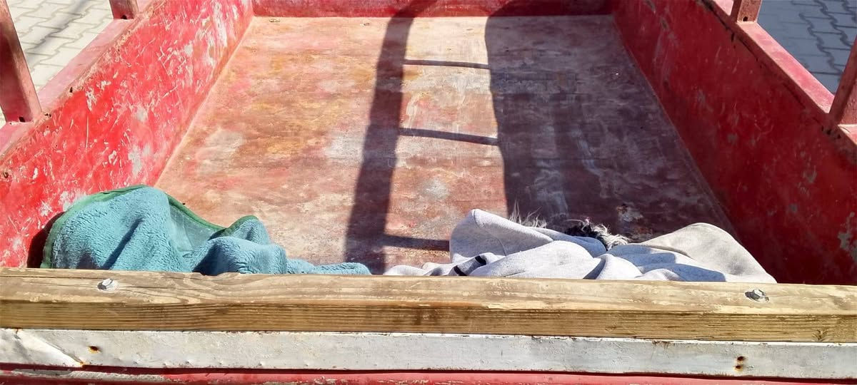 السلام عليكم مكلف بل النشر ستوتات عدد 2
الاوله كلك  السعر 750 وبيها مجال للشراي 
هاتف ‏‪0782 315 7008‬‏ ابو علي 

الثانيه MTR 2021 اوراق أصولية كامله  نضافه 75 بل الميه 
السعر مليونين وميه 2100 وبيها مجال 
هاتف *********** علي
