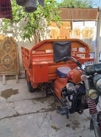 ستوته • فحل • مديل 20