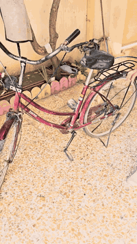 سلام عليكم  بايسكل  حجم ٢٦ للبيع قفل 50 مكاني حي فلسطين ***********
