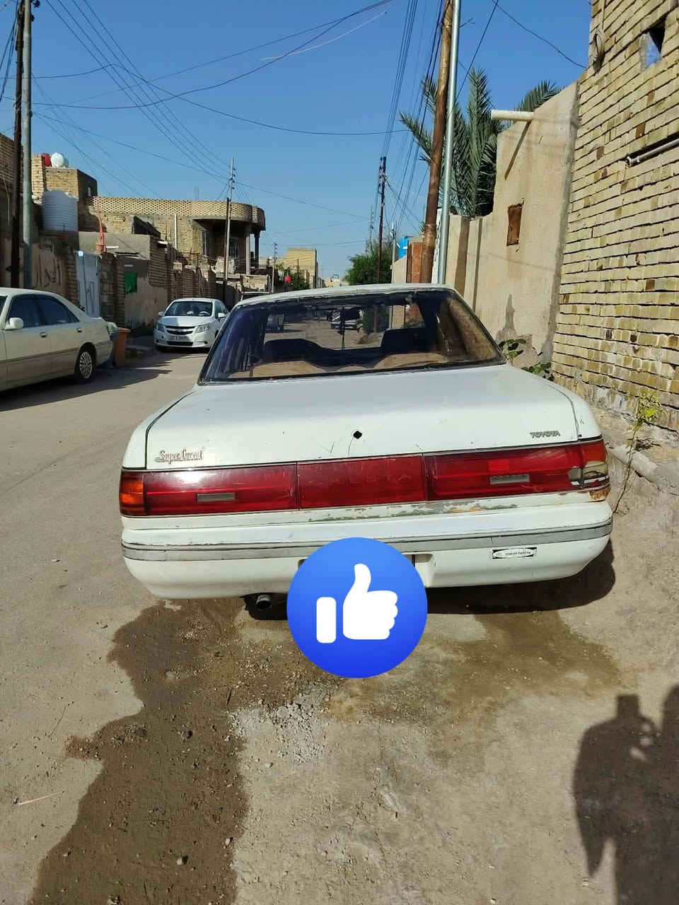 كرستة مسطرة مكفولة من الكص والعيب الشرعي والاصوليات بسمي 20 ورقة وبيه مجال بسيط الشطرة.للاستفسار الاتصال بالرقم ***********
