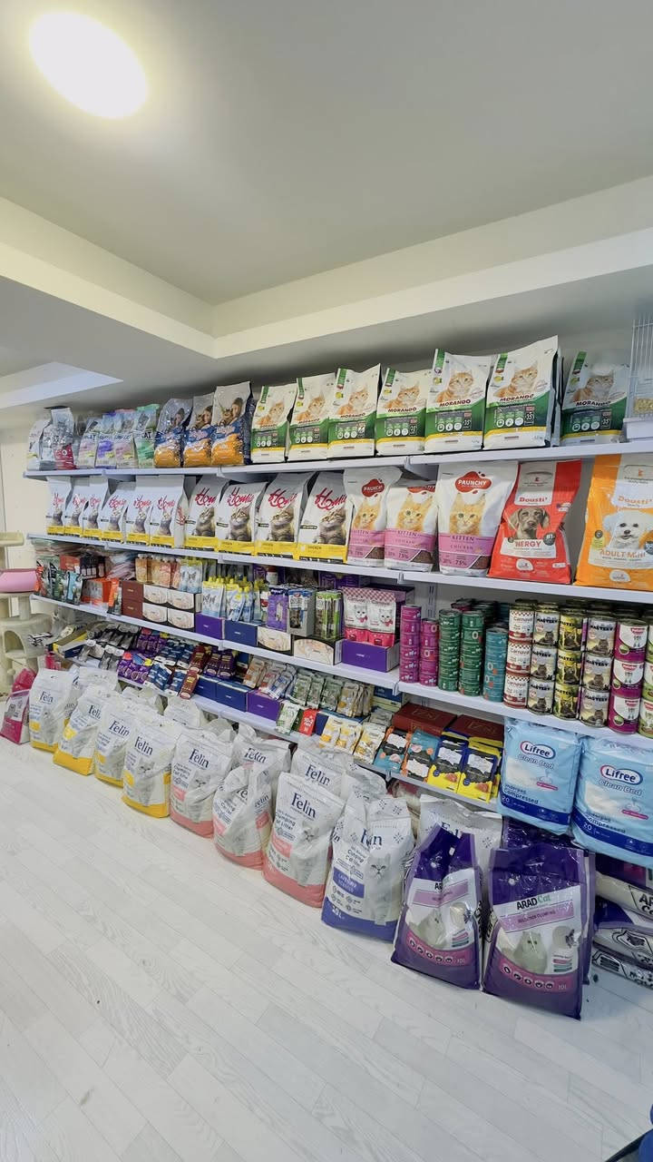 (متجر كاتي شوب🐈)
يتوفر لدينا جميع مستلزمات الحيوانات الأليفة بانسب الاسعار
ويوجد فندقة للقطط وقص الشعر والشور 
ويتوفر ايضاً توصيل الى جميع مناطق اربيل🤍


**إذا كنت صاحب هذا الإعلان وتريد حذفه لأي سبب، رجاءا أرسل رسالة إلى الدعم الفني**