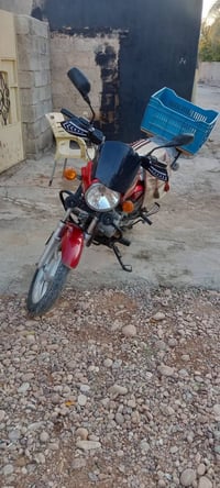 بوكسر ٢٠١٨ • أوراق كاملة • ديالى المقدادية