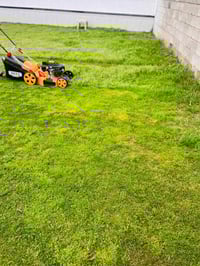 يوجد مكينه لقص الحدائق   من يود يتصل   07824800095