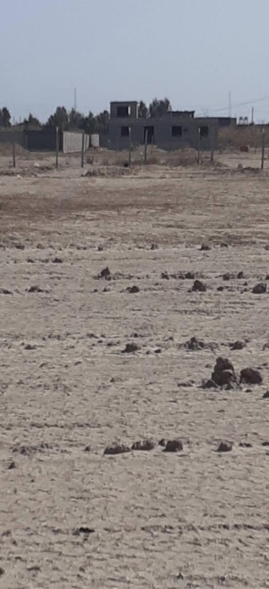 دونمين للبيع قرب السايح على طريق البطحاء مو نزلة الأولى النزلة الثانية للإستفسار ***********او خاص مكان ناصرية سعر  دونم ٢٥ بية مجال
