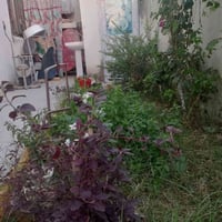 حي الحكيم • ٢٣٠م • ٣ غرف