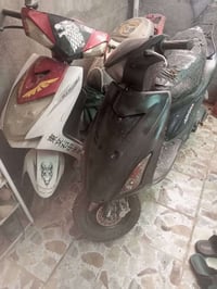 للبيع  ادرس ماليزي سودة  حديث ياباني  سكنس فحل نثية ماادري   دراجات نق...