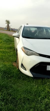 كورلا ٢٠١٧ • كندي • رقم اربيل