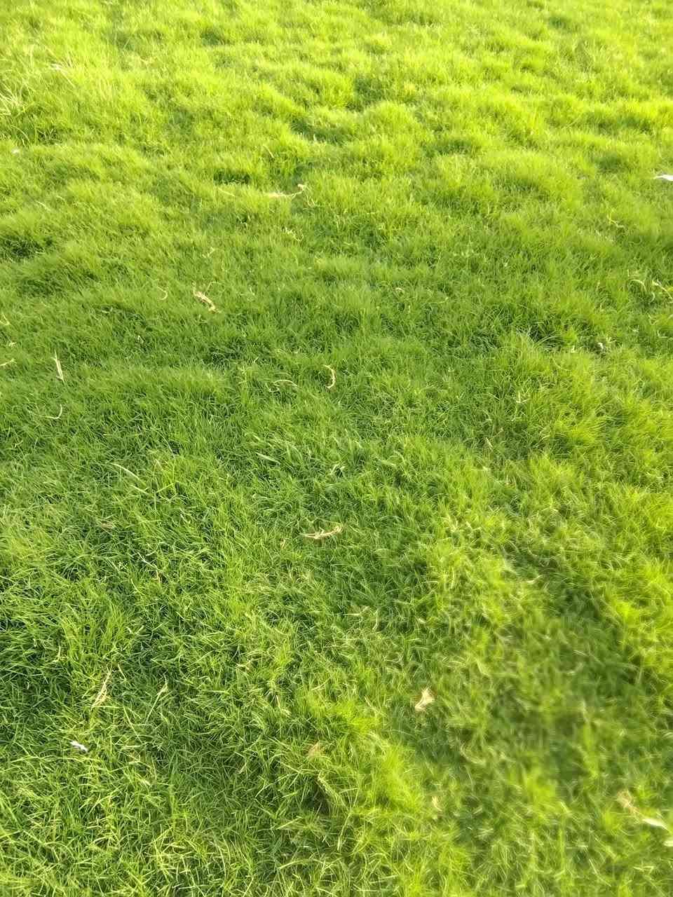 ثيل هندي وفرانسي معه التوصيل لطلب اتصل عله ***********
