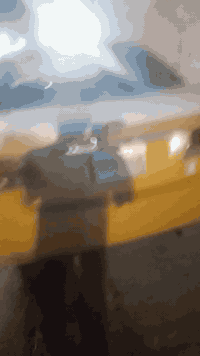 بي وايدي 13حرق سنويه ضايعه بيه استنساخ راعيهه ماواصله اتعهدلك سرقه وعشاير السياره جاهزه وكلشي مانقصهه السعره 18مراوس حسب القناعه ***********
