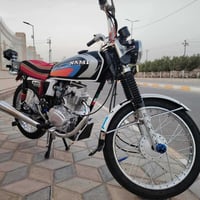 شاصي أوراق • موديل ١٧ • قلعة الصالح