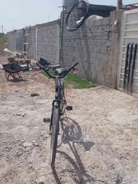 باسكل زيتوني • حجم ٢٧ • واير بريك