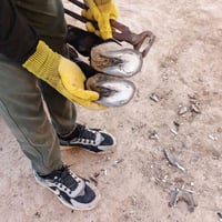اي واحد عده هيج زمال ظلوفه طوال اني اشتقله كص وتنظيف ارجع الزمال فول 0...