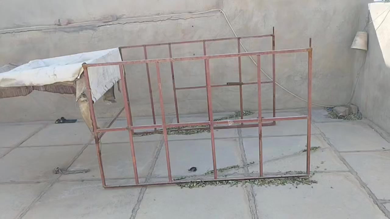 السلام عليكم ورحمه الله وبركاته جماعه الكراتين جنج درجه اولى للبيع الي يرده لو يتصل ع رقم لو يدخل خاص ***********
