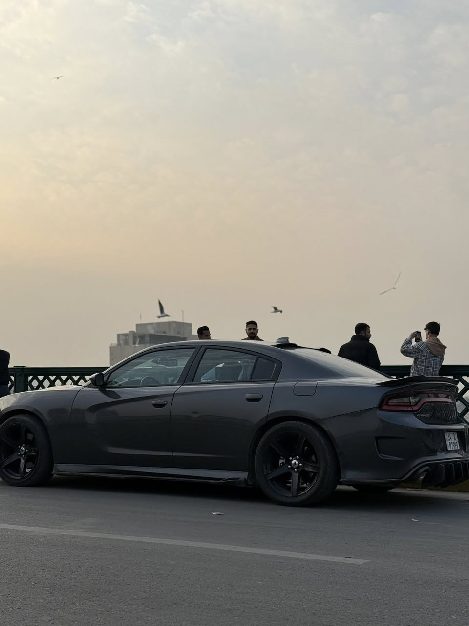 السلام عليكم  تشارجرRT للبيع مديل 2016 وارد كندي  المحرك (5700) السيارة نضيفة وحلوة ومواصفاتها فول للاخير من فتحة سقف وتحكمات ستيرن و كشنات كهربائية وبصمة تشغيل عن بعد بل اضافة السيارة رقمها مميز وتحويل مباشر باسمي حصرا 
بلنسبة لحادثها بلعراق دعامية امامية وداخله تقرير غرق للدوسة بس بل اسم غرق السيارة جاهزة وكاملة من كلشي الحدادية جديدة لايتات زنون وسنويتها جديدة والسيارة استخدام شخصي مامتعوبة 
السعر 193
رقم الهاتف 
***********
